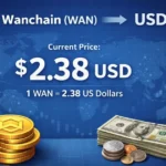WAN to USD